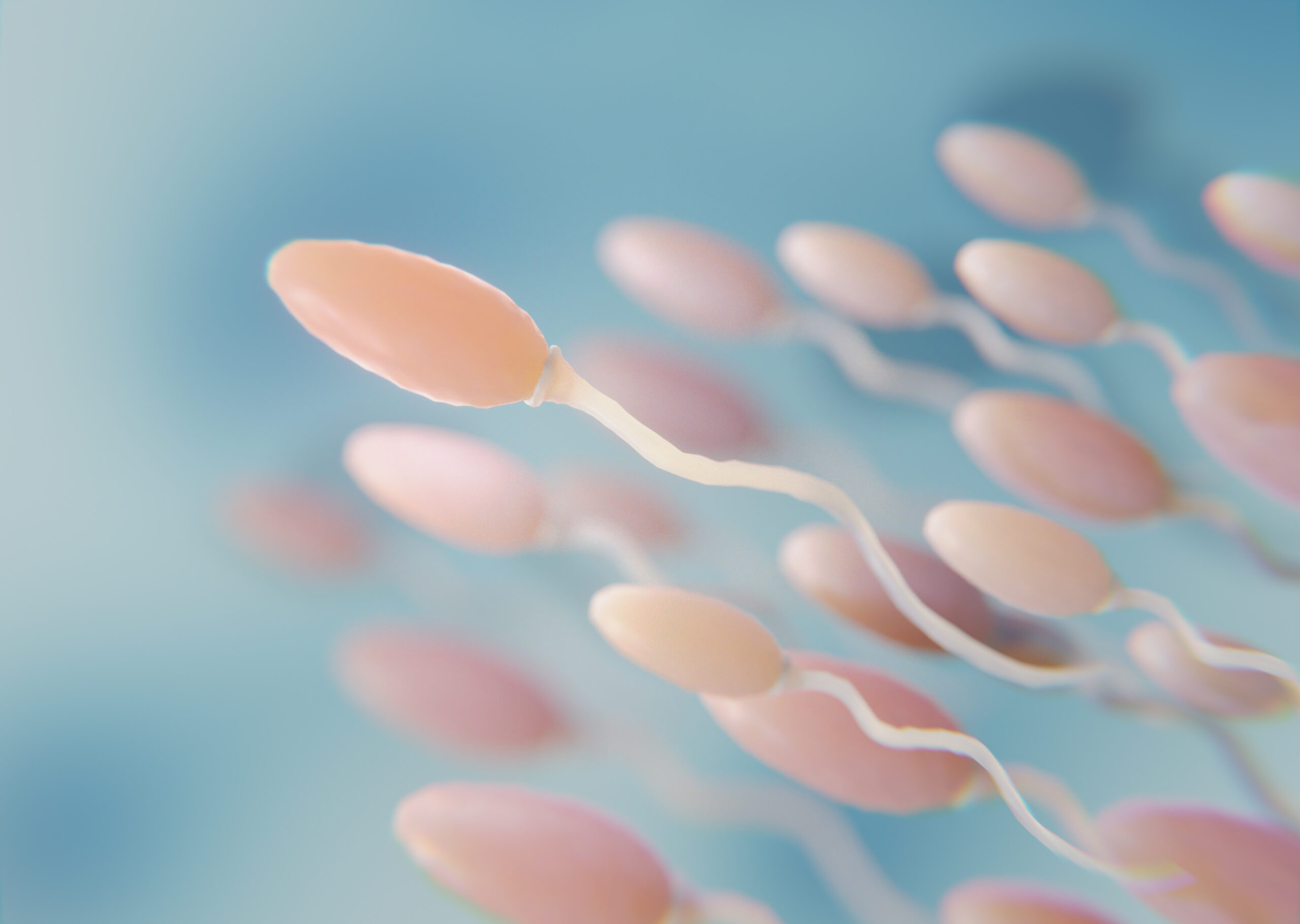 beautiful-fertility-concept-3d-rendering